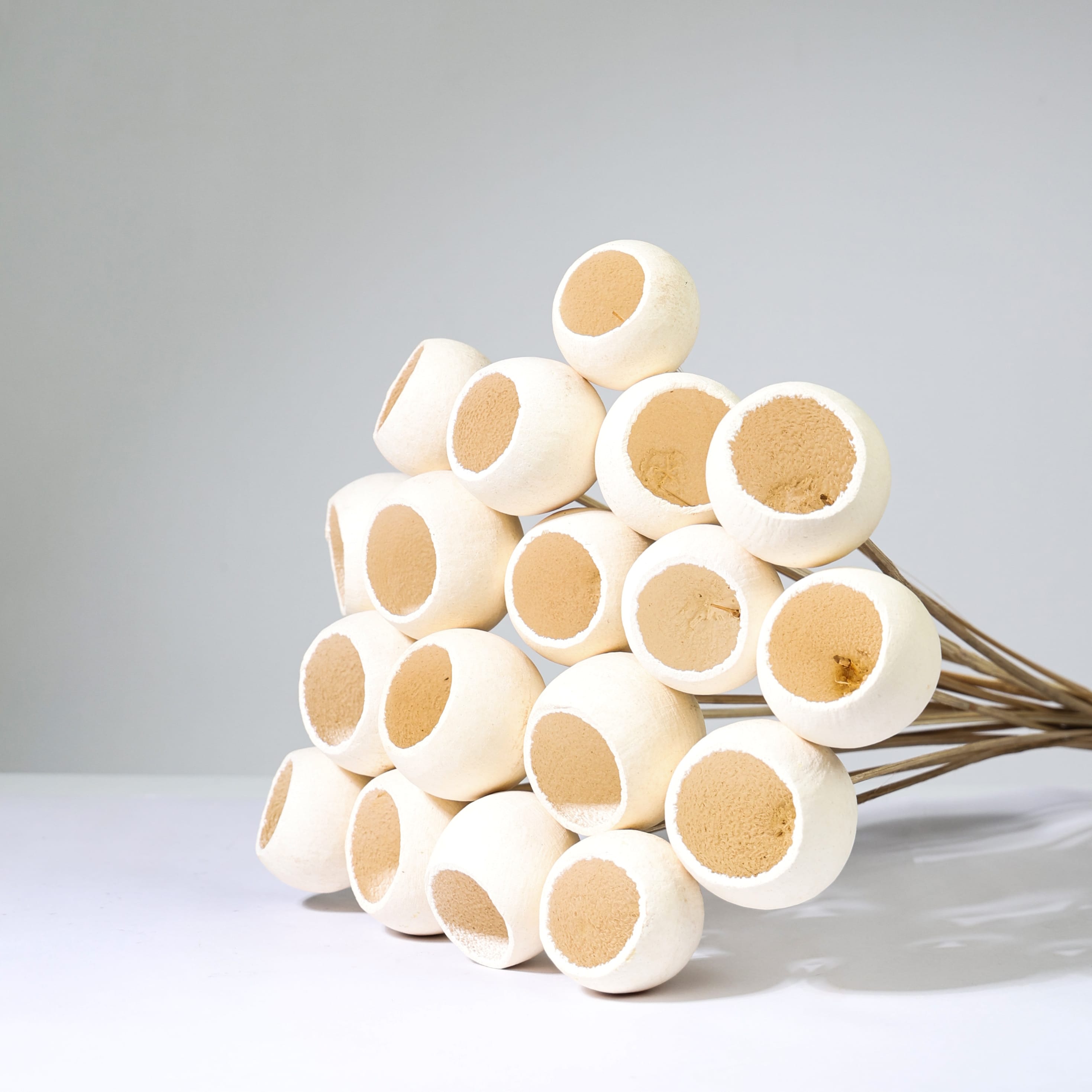 Natural Sola Wood Cups