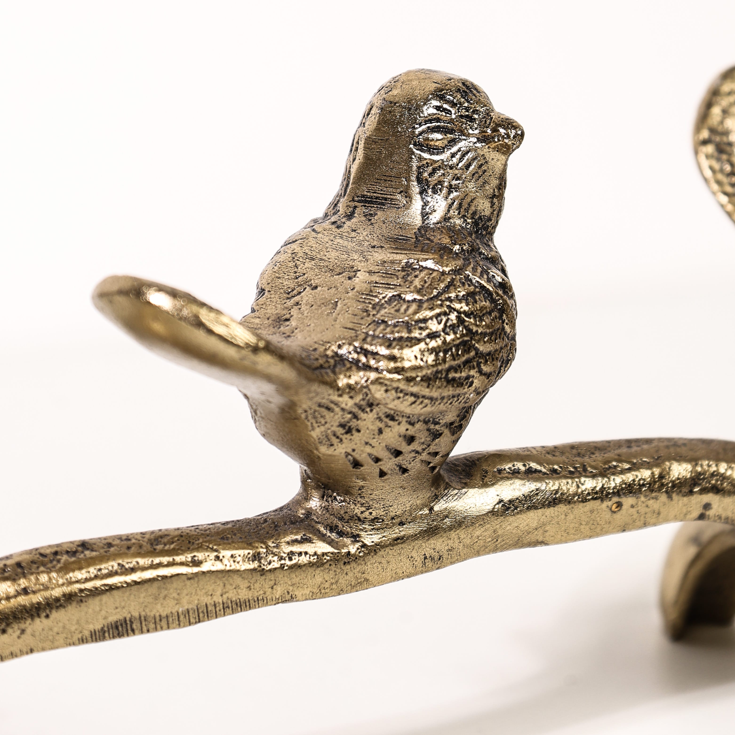 Bird Branch