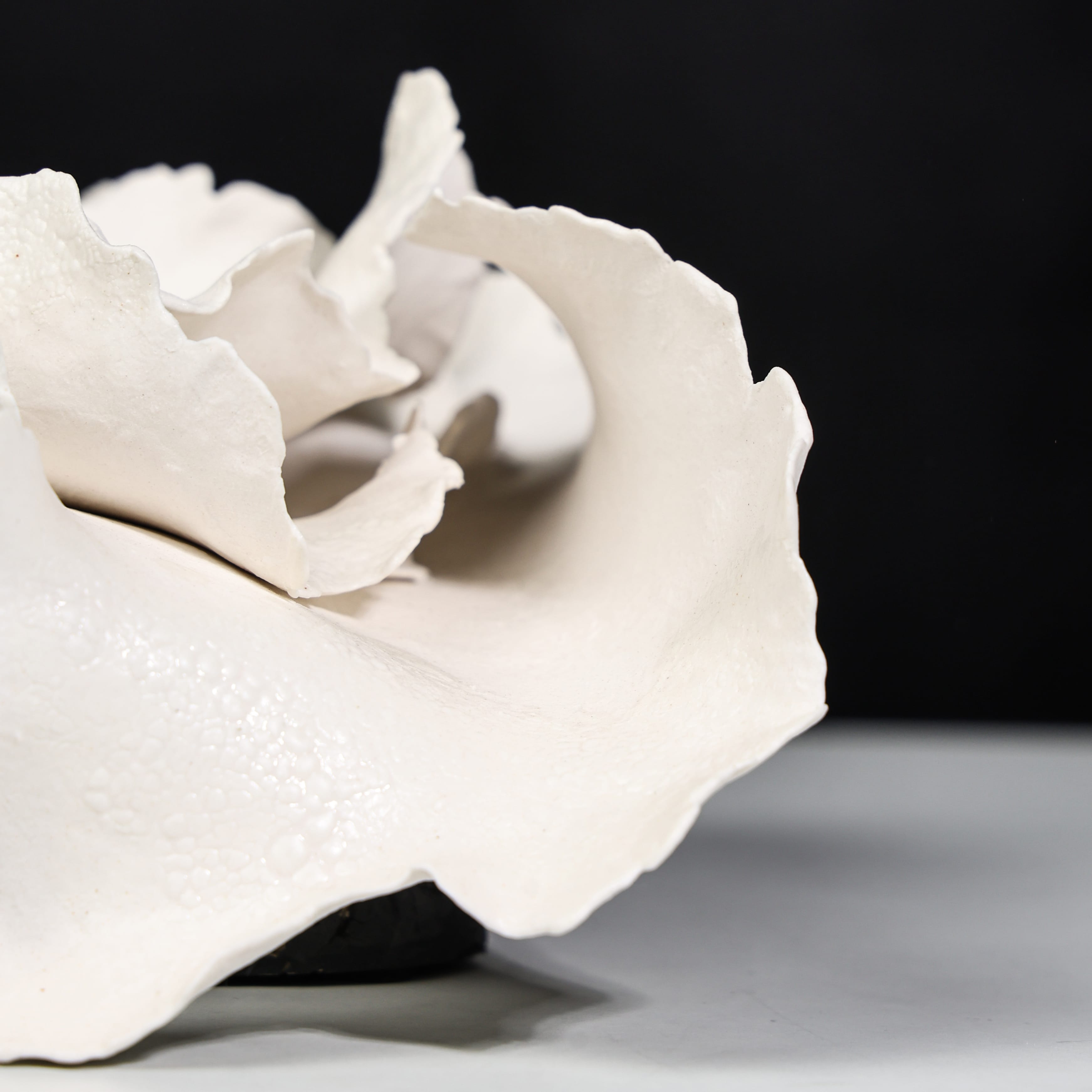 Alabaster Wave